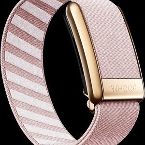 NIB Whoop Super Knit Luxe Strap: Nantucket